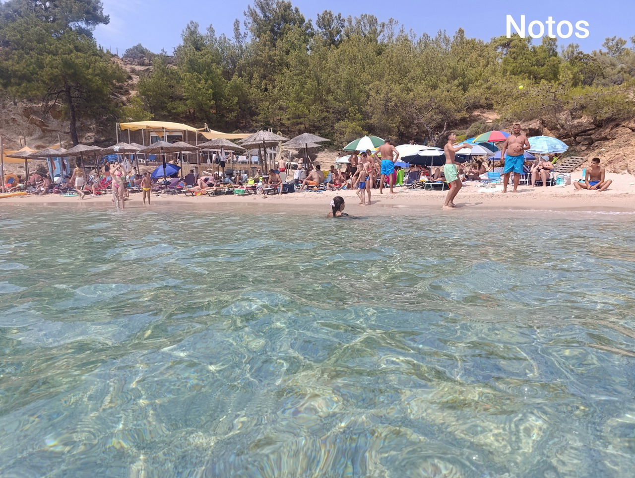 Tasos autobusom - da li vredi? Iskustvo i realni troškovi