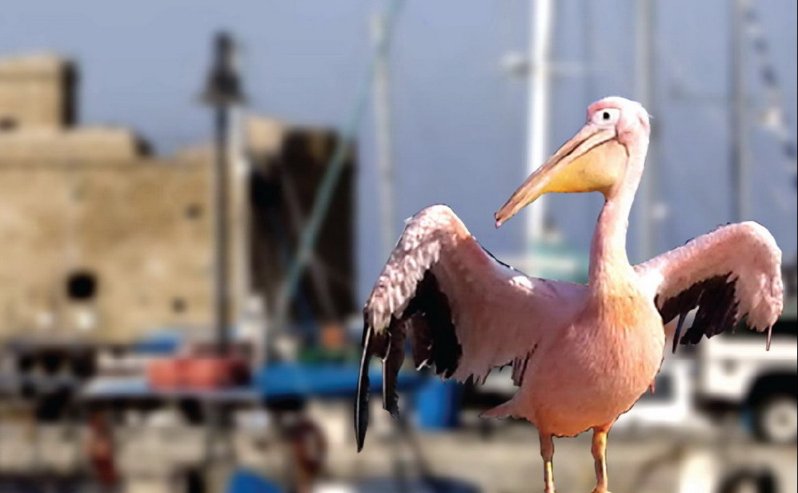 Vodič za Kipar: 15 stvari koje ne smete propustiti u Pafosu