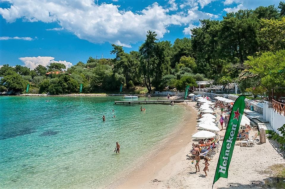 Tasos utisci... Jelena Narančić