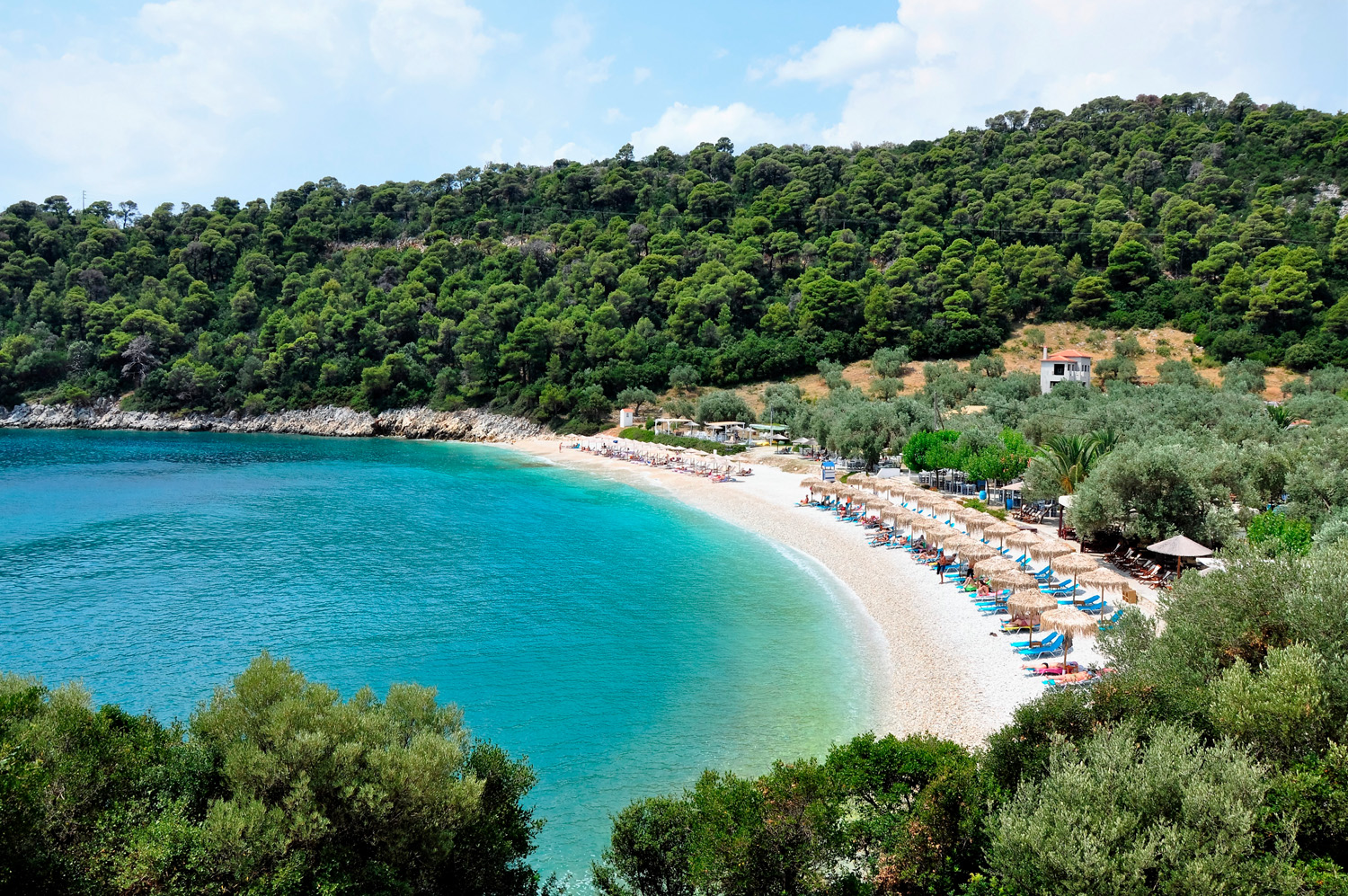  Leftis Gialos beach Alonissos