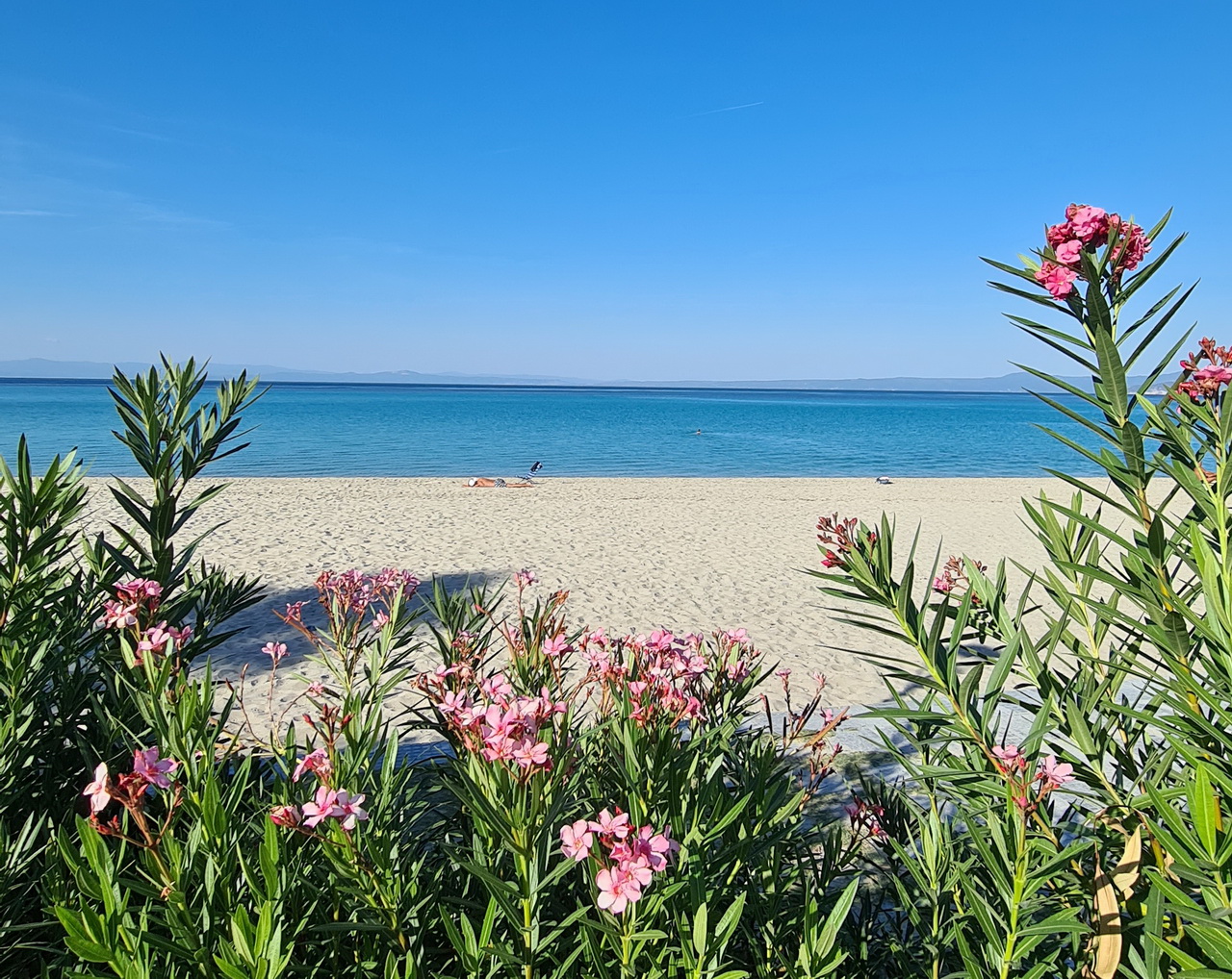 Pefkohori iskustva turista, plaže, cene, utisci o letovanju, izleti, smeštaj