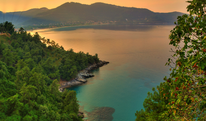 Tasos: plutajuća šuma... by Gordan Gorunović