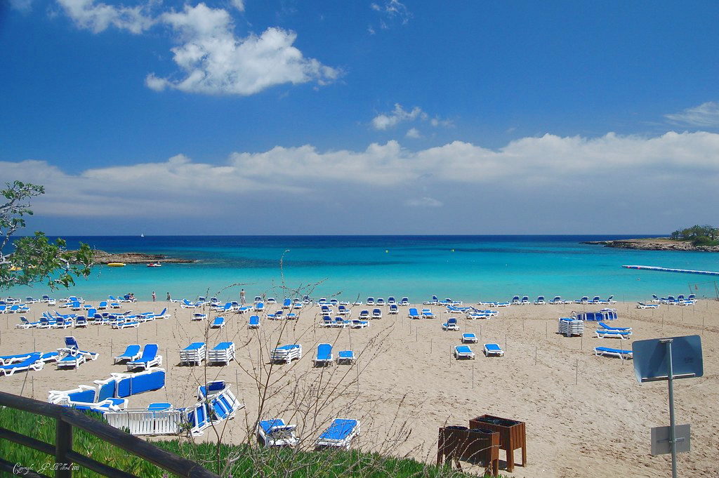 Fig Tree Bay Kipar