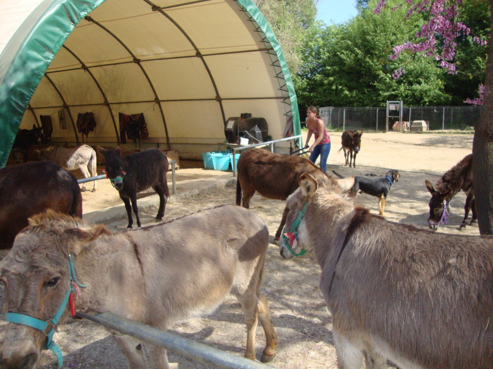  Sklonište za magarce na Krfu