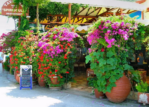 Sivota, Lefkada slike