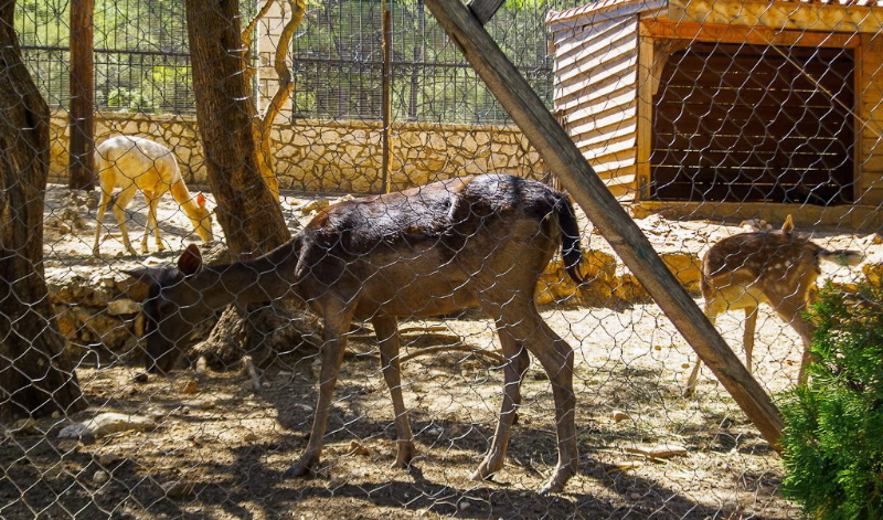  Manastir Faneromeni Lefkada 
