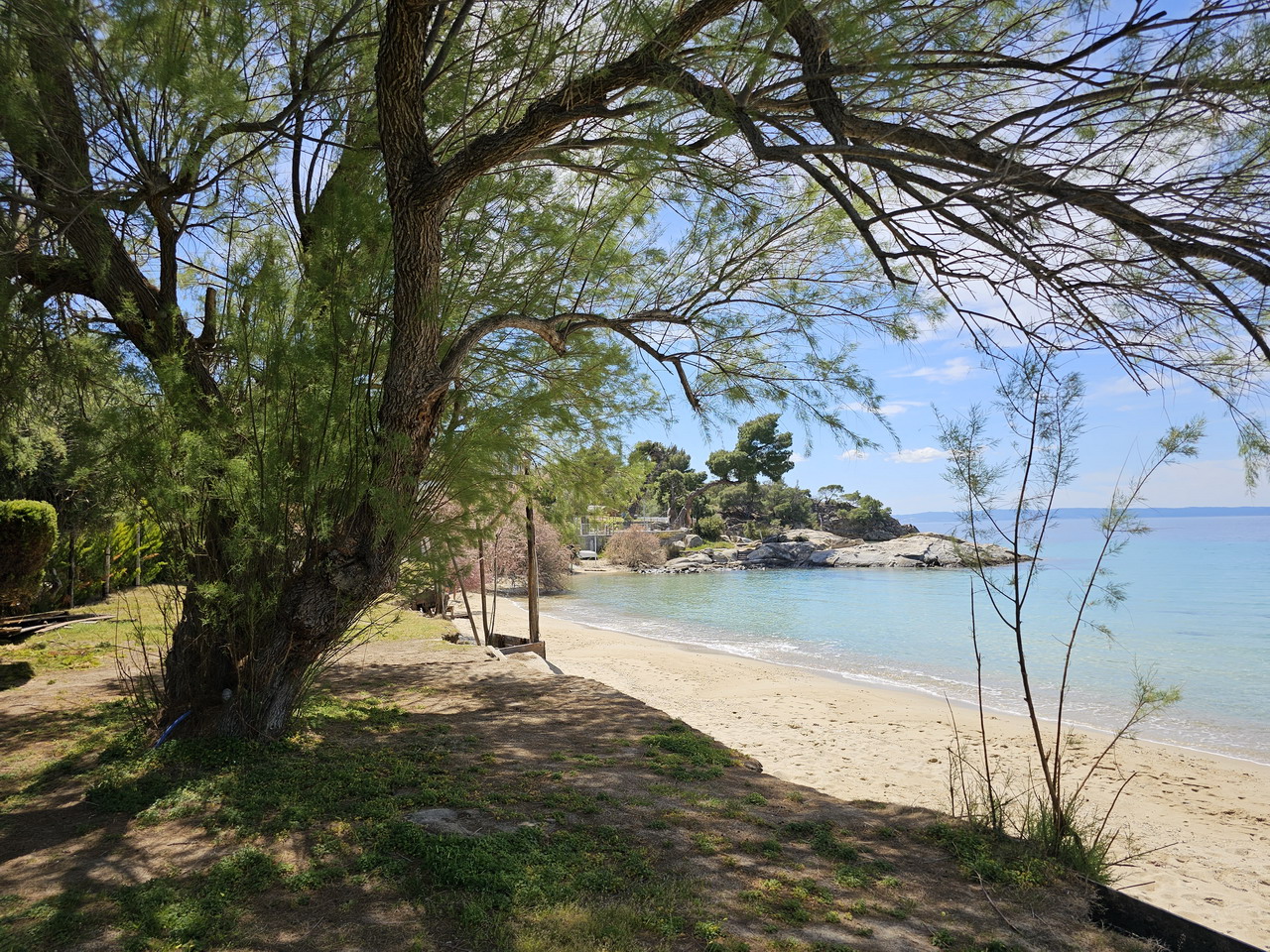 Kalogria - plaža sa prirodnim hladom na Sitoniji, cene, sadržaji