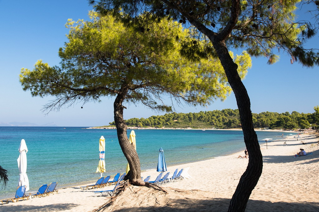 Xenia plaža - Kasandra