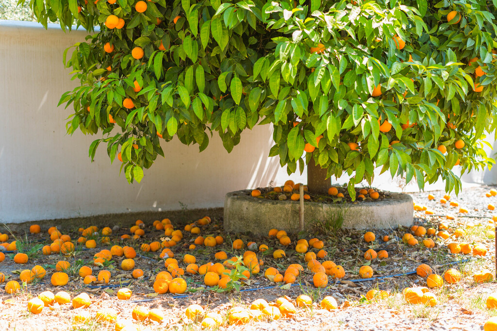 Sve što treba da znate o vremenskim uslovima i temperaturi mora na Sitoniji