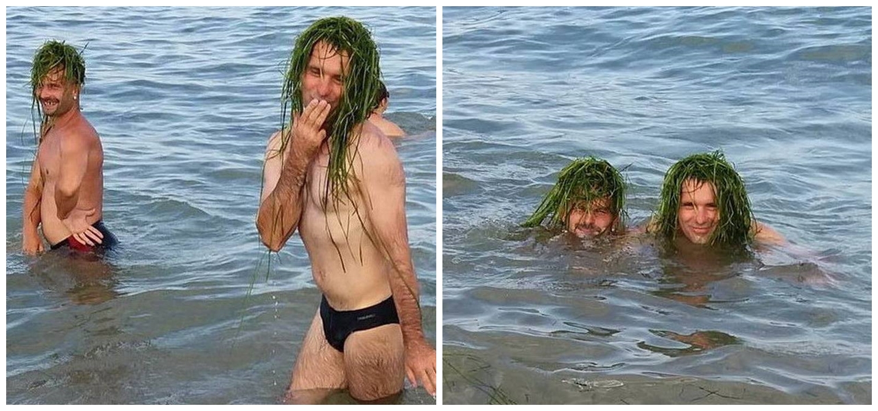 Koza pase pod ručnom i ostali biseri