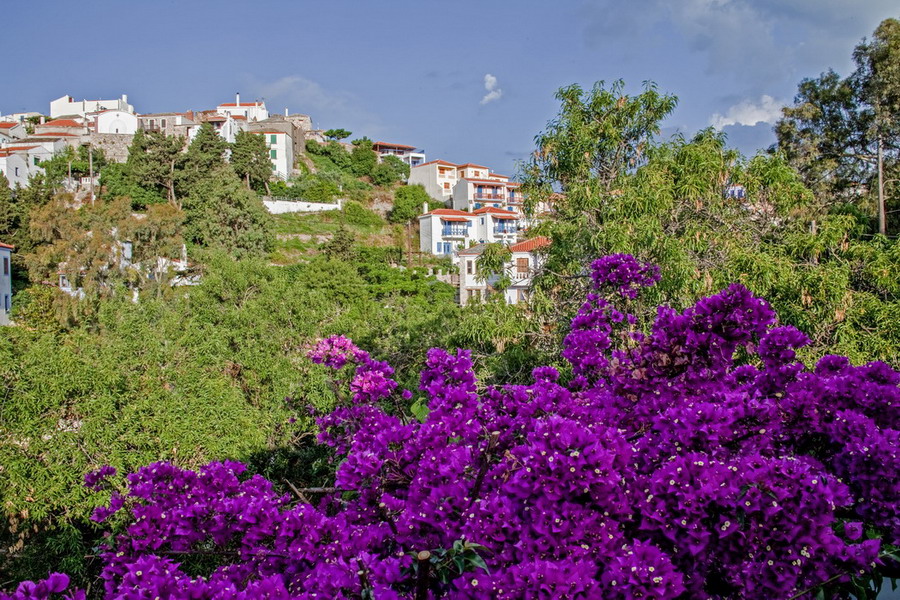  Alonissos staro selo