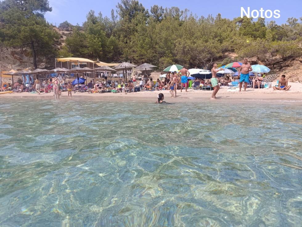 Tasos autobusom - da li vredi? Iskustvo i realni troškovi