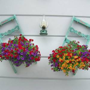 Giaos - Paksos slike