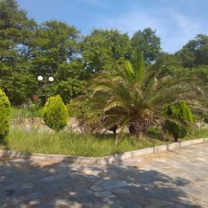 Kokkino Nero - utisci sa letovanja... by Violeta Obradović