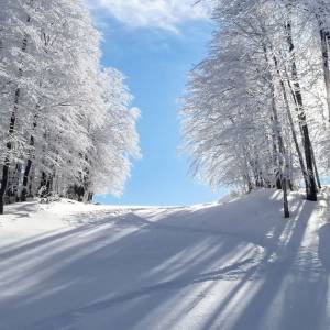 Zima i proleće u Grčkoj