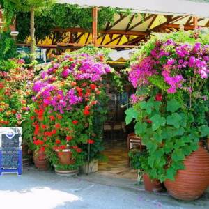 Sivota, Lefkada slike