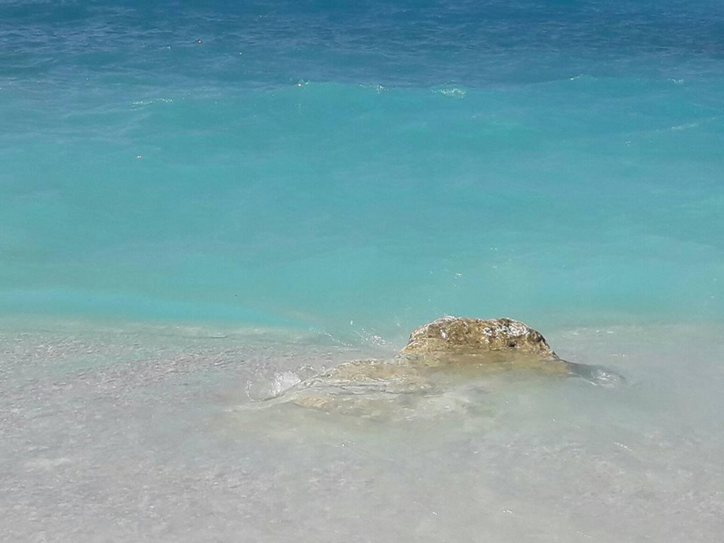 Utisci sa letovanja: Kefalonija, Lassi... Milan Radojković