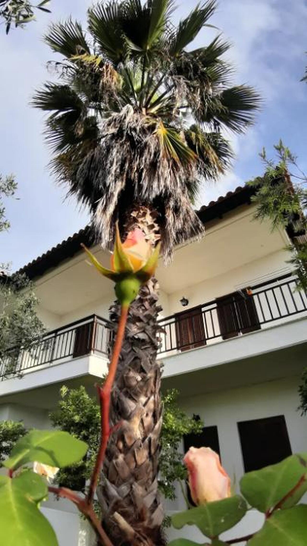 Glarokavos Studios