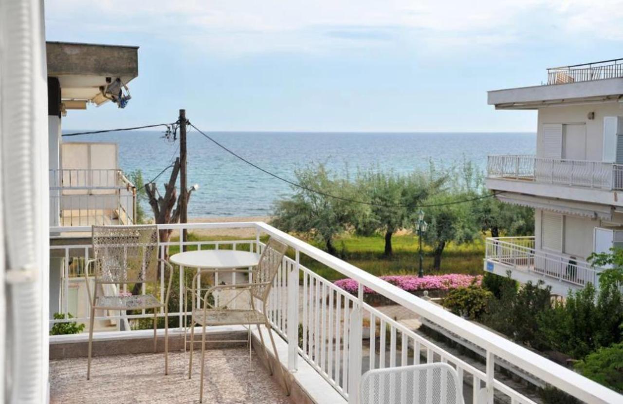 Themis 40 Steps from the Beach Apartment