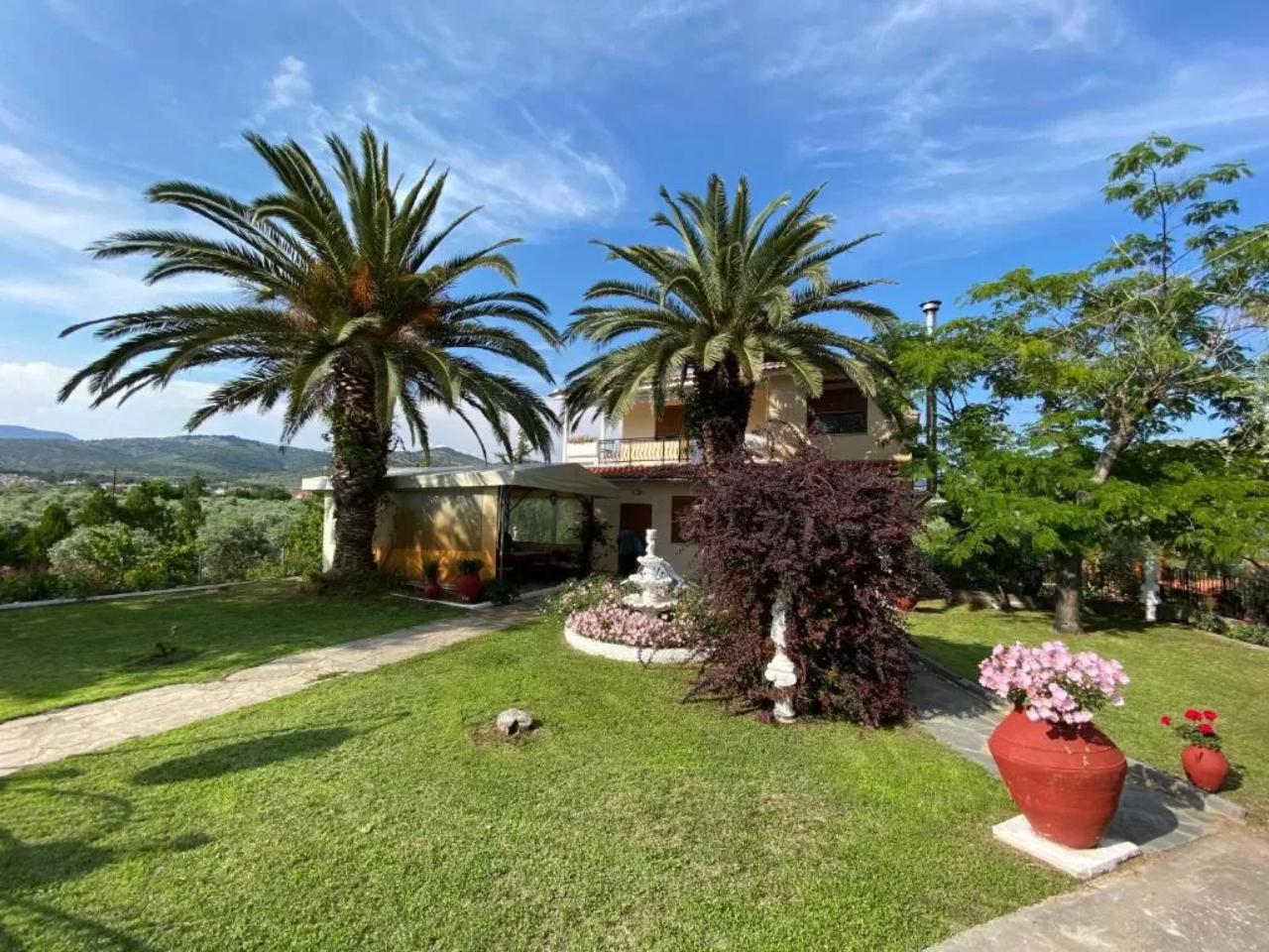 Elsa Villa