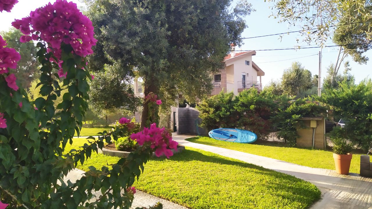 Dimitris House